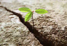 Peer Support Working in Mental Health: A system in need of change?