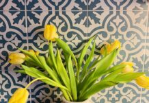 Tulips