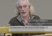Mental health and problem substance use discussed at Oireachtas committee