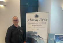 When HVN Ireland meets HVN Athens
