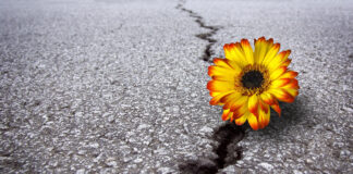 Criticisms that establishment psychiatry can and cannot tolerate