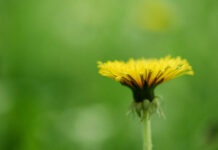 Call for suicide-specific, evidence-informed care in National Suicide Reduction Policy