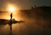 Darkness into light – masking systemic neglect in mental health